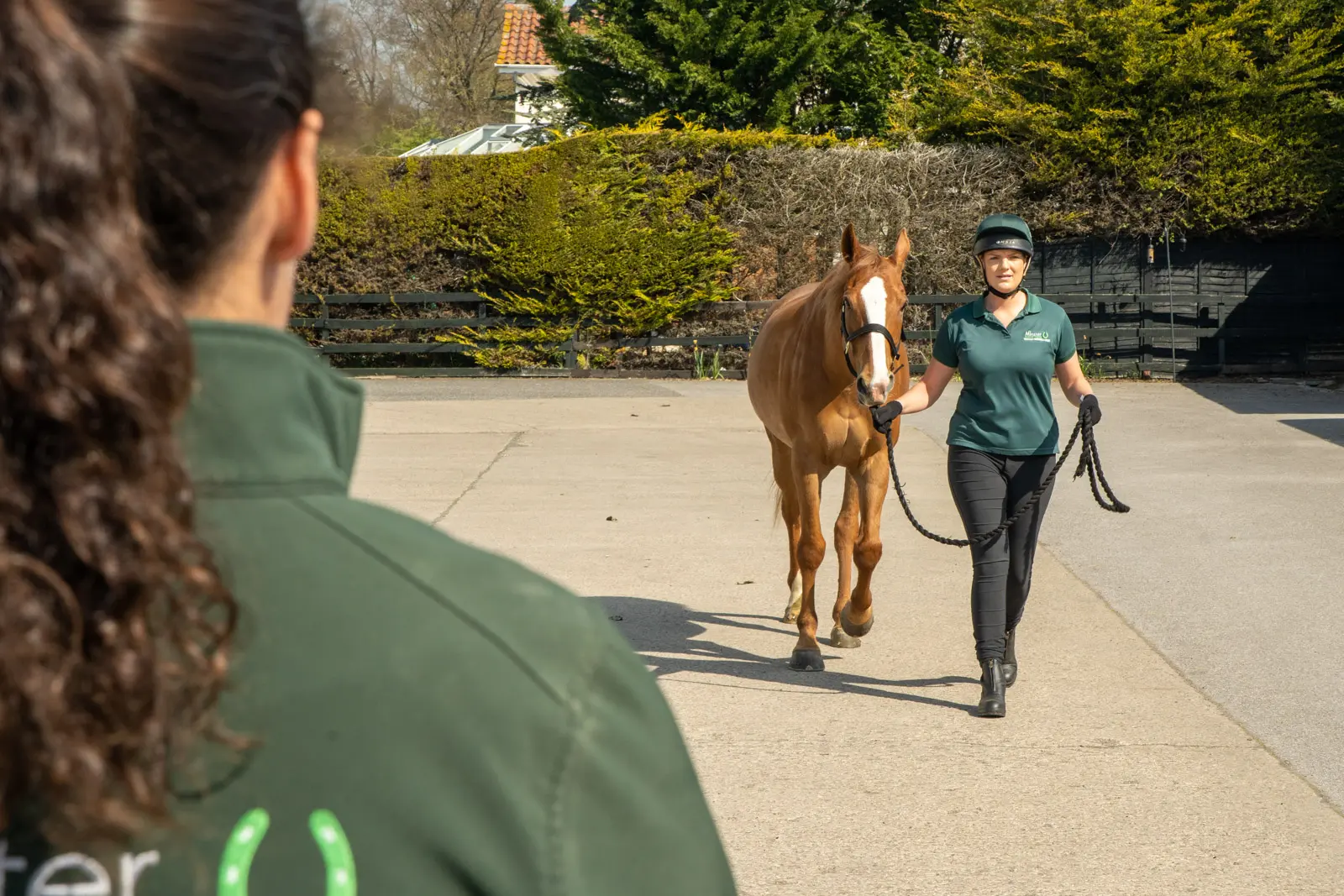 Minster Equine - Poppleton (Web) 023