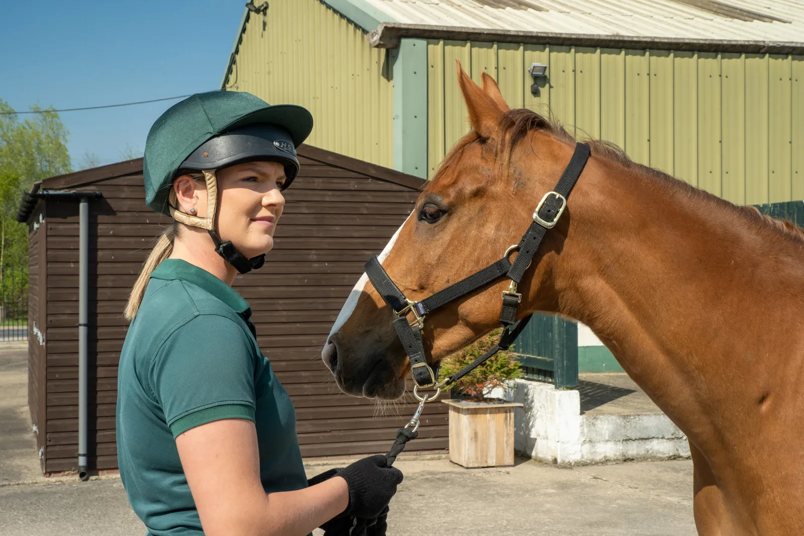 Minster Equine - Poppleton (Web) 027