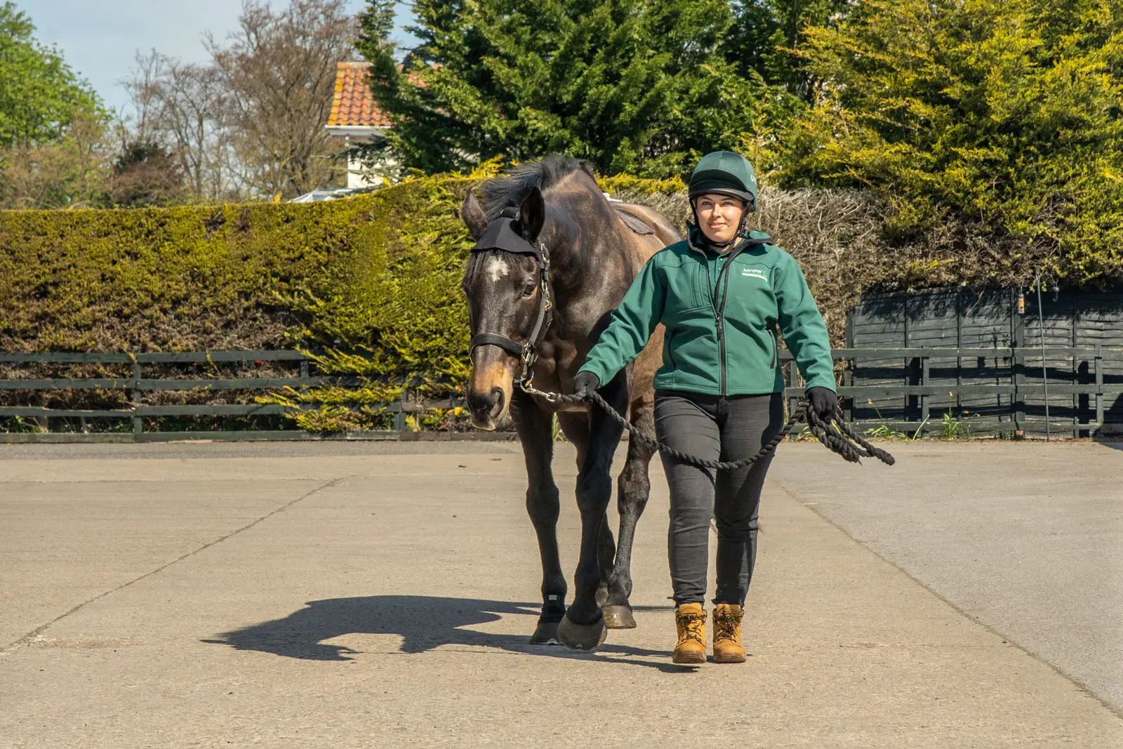 Minster Equine - Poppleton (Web) 041