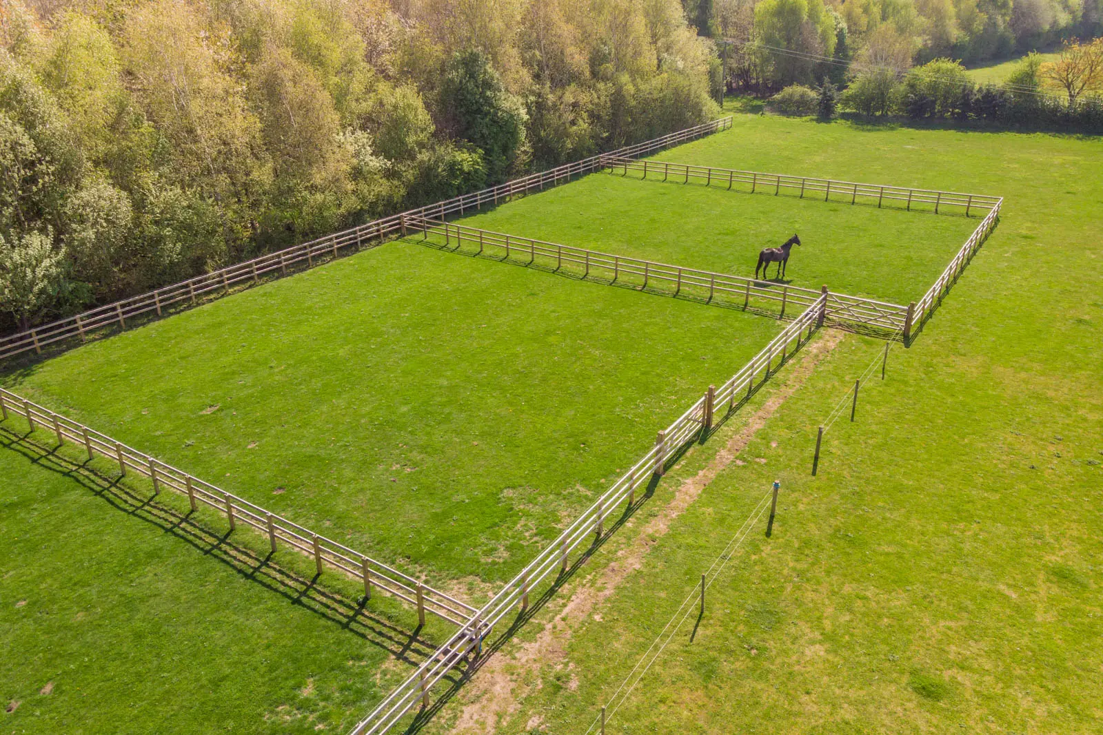 Minster Equine - Poppleton (Web) 059