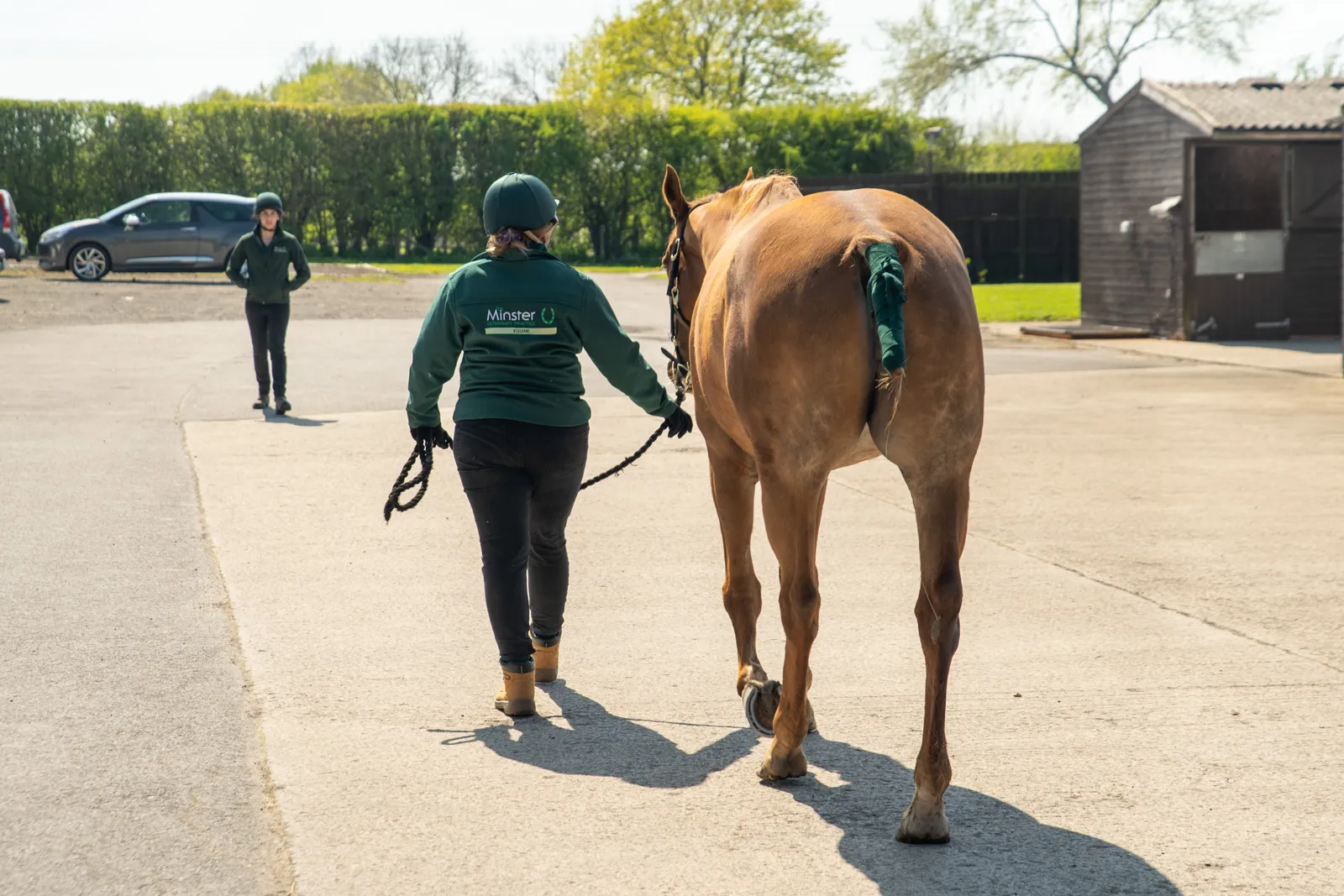 Minster Equine - Poppleton (Web) 077